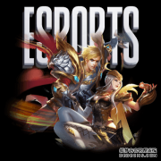 熊猫体育-单件武器